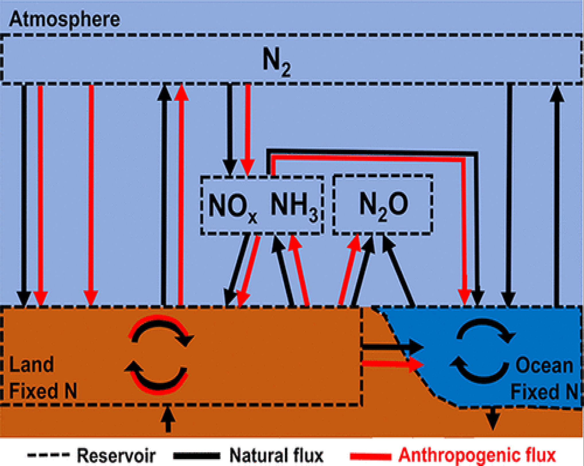 Nitrogen-15 isotopes for use in the nitrogen cycle